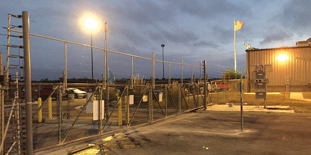 electric guard dog near me