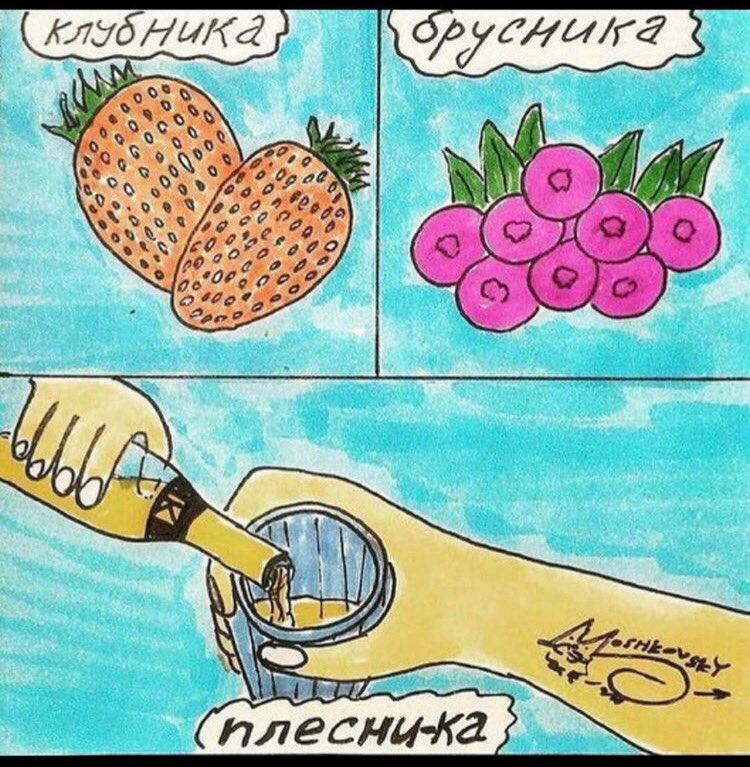 Спонсор новогодних праздников 🥂