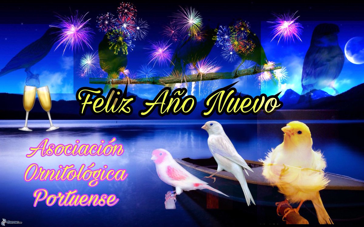 PortuenseA's tweet photo. Os deseamos un bonito año #2018 de cría a todos los #canaricultores 🎊 https://t.co/fRFtAH8UZp
