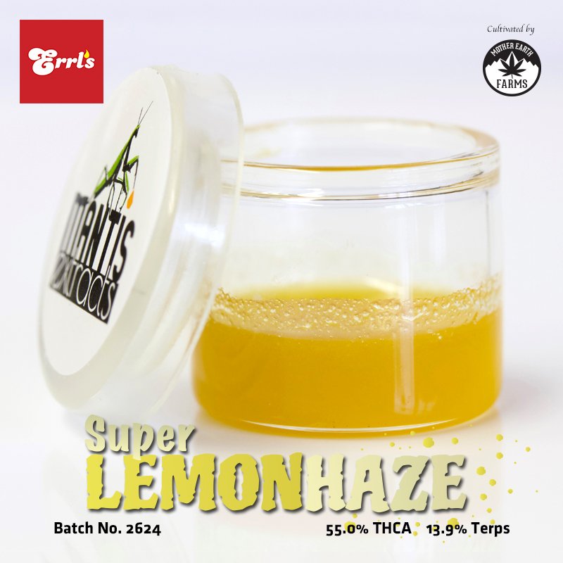 _errls's tweet image. A brand new collaboration to kick off the new year! 🎉🎉🎉 Mother Earth Farms based out of Port Angeles Washington is bringing the heat with some incredible terp profiles. This gassy #superlemonhaze is breathtaking at 13.9% #terps!  🤩⛽️🔥🔥🔥 #mantisextracts❌motherearthfarms