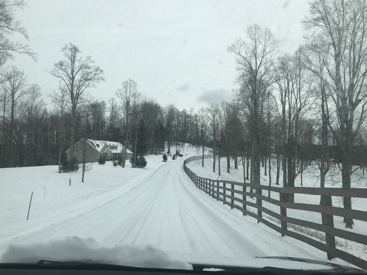 Diane Lofgren tweet media