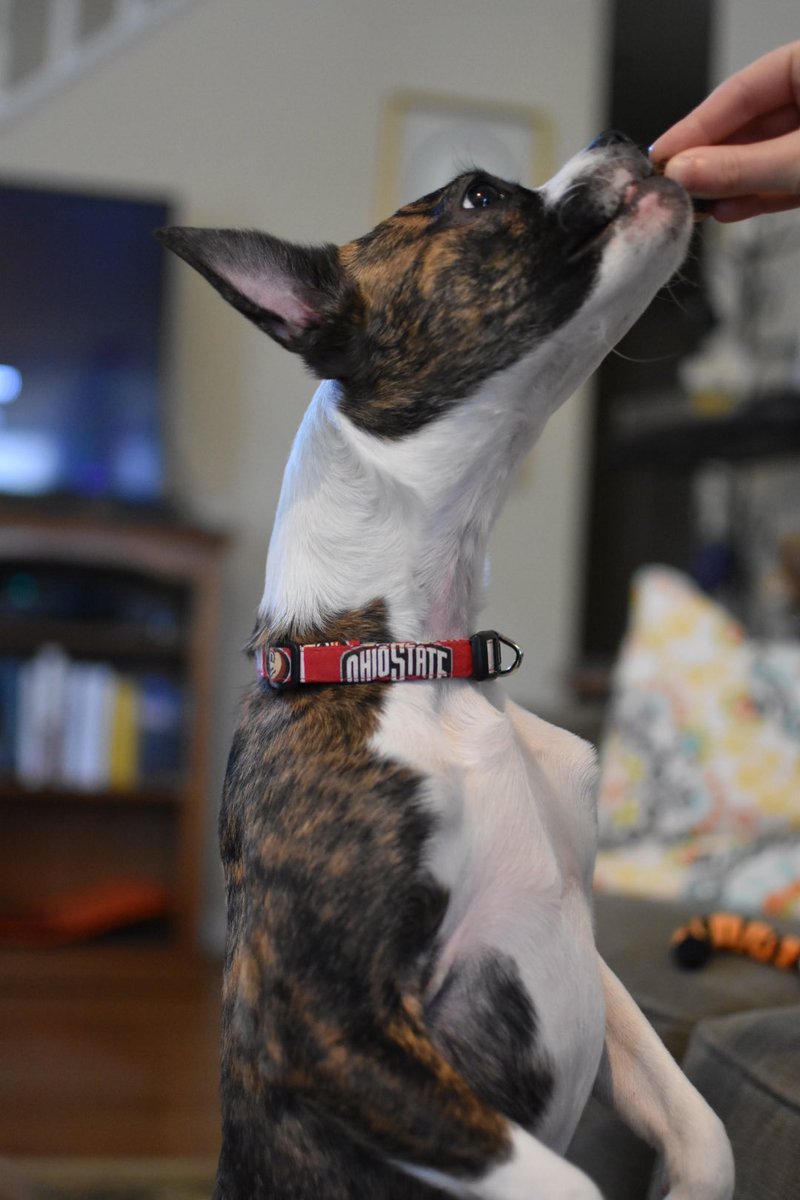 Jon Green tweet media