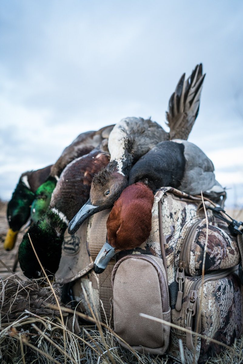 RigEmRight Outdoors tweet media