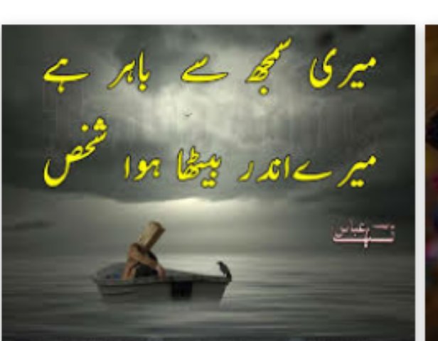 Shelly Saba tweet media