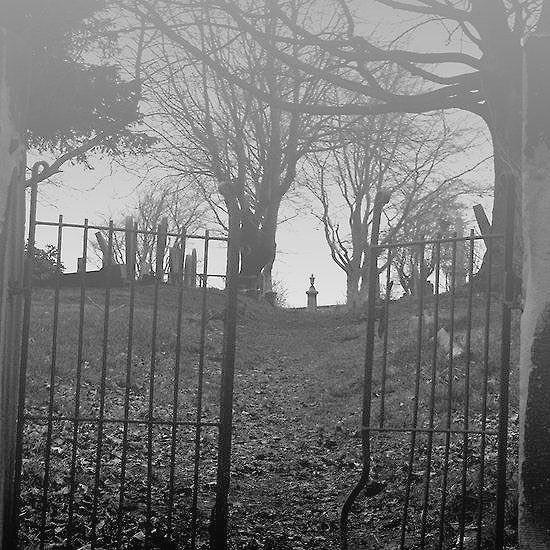 GhostiLeaks's tweet photo. #TerrorQuest the fog disorientates, you stumble to the graveyard gate.. the screaming is louder... to the chapel or through the tombs? https://t.co/ulunKYKNCM