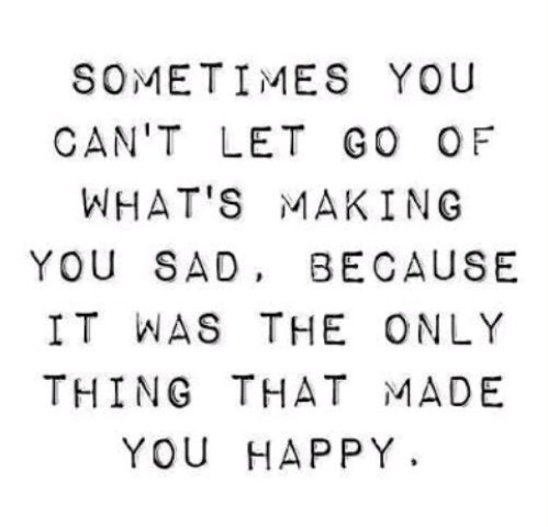 Shelly Saba tweet media