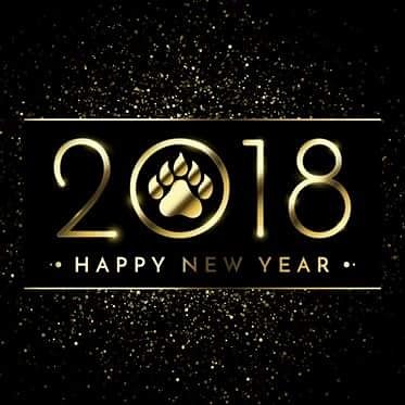 Happy new year! We look forward to seeing everyone back at school on January 4.