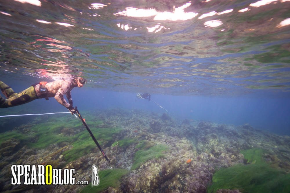 Spearfishing 101: How to Keep A Spearfishing Fishing Log bit.ly/1HJscAD #Spearfishing #SpearfishingSchool