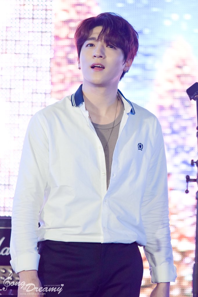 Song of Dreamy tweet media