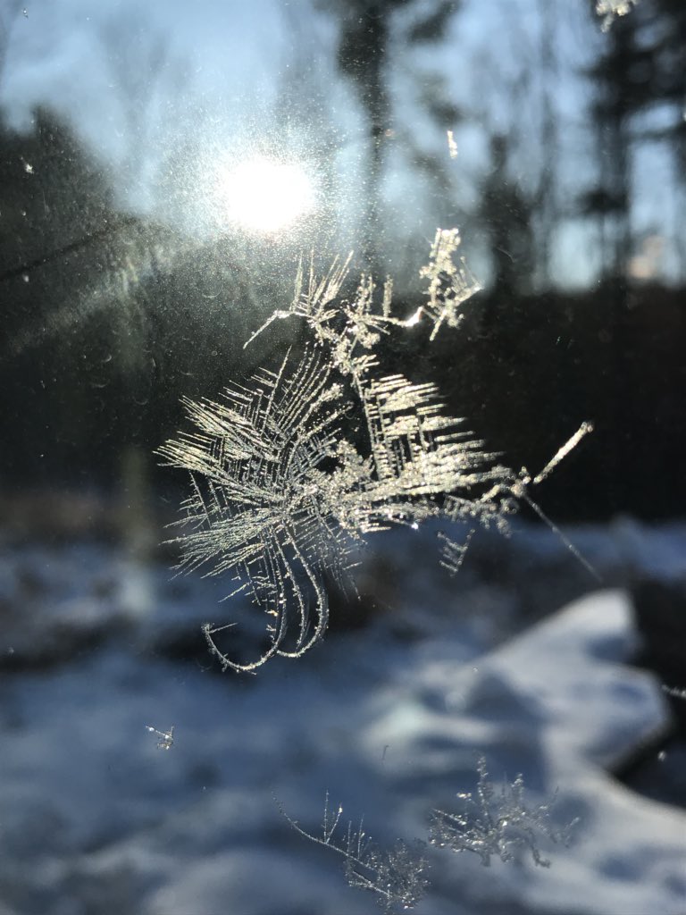 ltelkins's tweet photo. Cursive ice writing! Crystals grown on our sliding door at -6F. #aliencommunications @jamestanton https://t.co/pZVARnOLiO