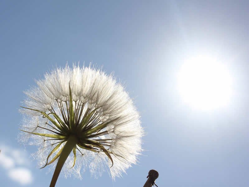 Saskatchewan Summer Makes Top 5 Weather Stories dlvr.it/Q8S54M https://t.co/xNMcf2bTaz