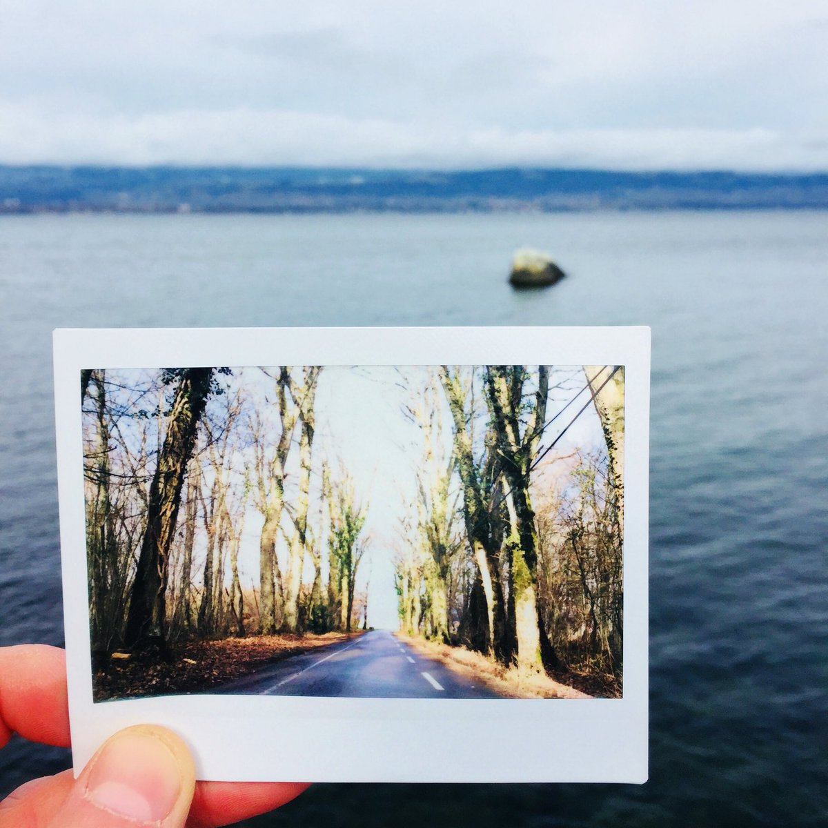AlexisAnalog's tweet photo. Happy New Year everyone! remember the light awaits just out of of the woods! And it’s smooth waters after that!
#believeinfilm
Not the first film pic of the year for me but the first #fatstax https://t.co/AWqCICQRJ4