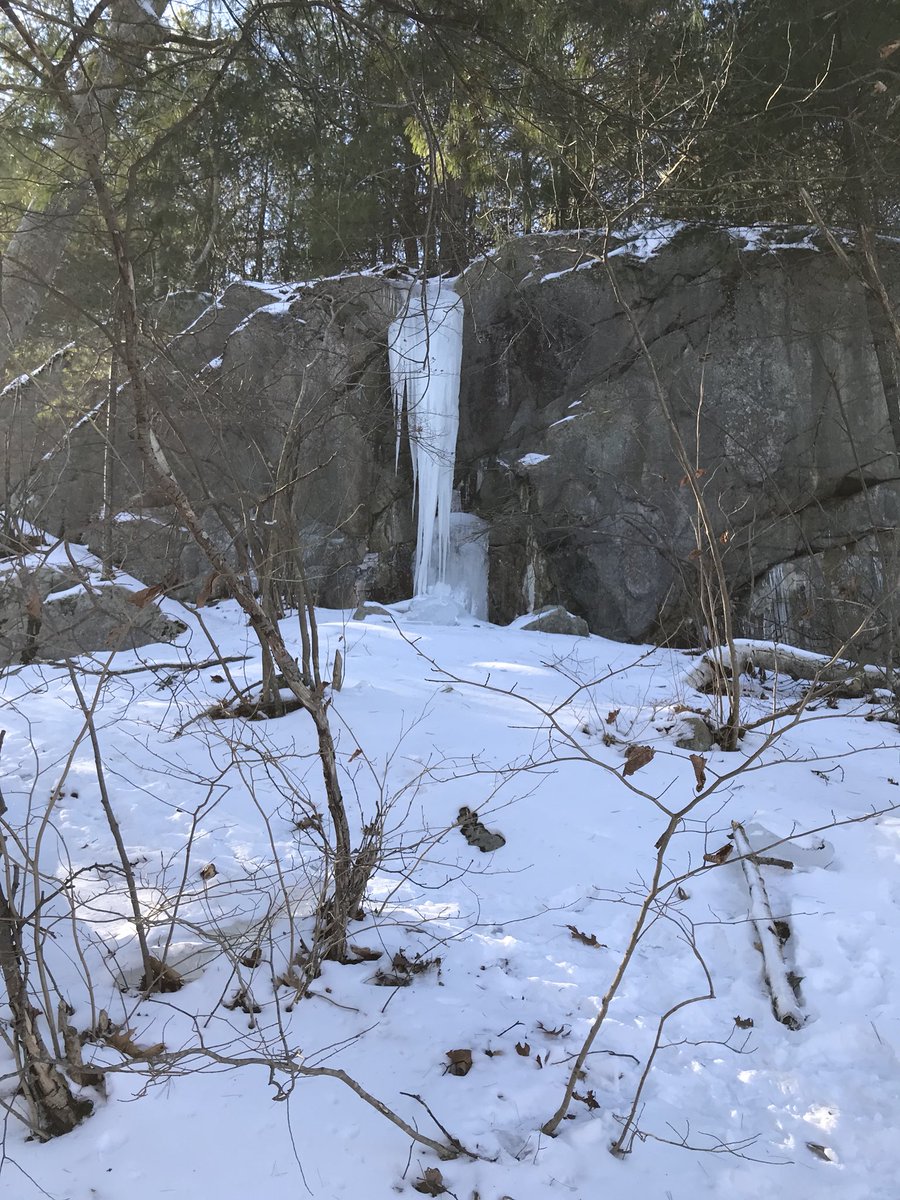 OTemily3's tweet photo. @MassDCR #FirstDayHikes #Breakheart Reservation. 3.4 miles. Spotted coyote & traveling Barred owl near Nihan Bridge. #favoriteoccupation #hiking #optoutside #freshair #outdoors https://t.co/rrl1wZPU5y