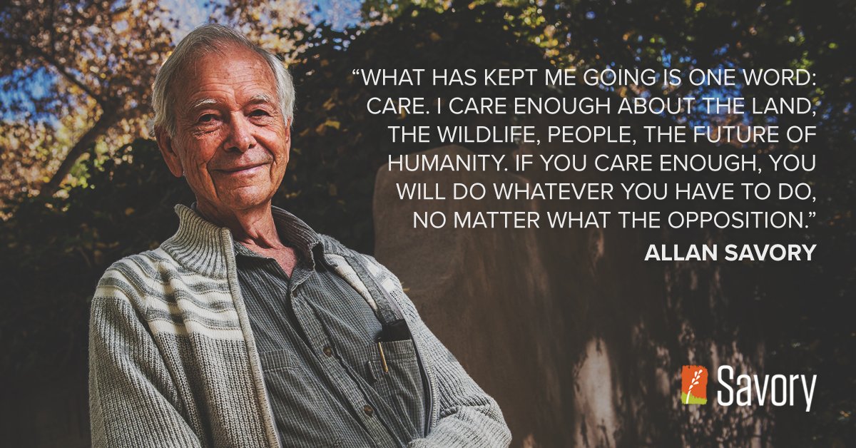 Savory Institute 🌱🐂🌍 tweet media