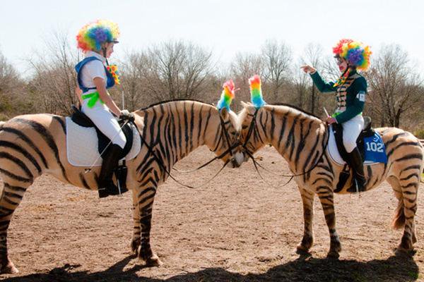 If you don't want to change (because it's scary/painful/you just don't want to), here are some anti-New Year's resolutions for the horsey type. 
cavvysavvy.tsln.com/blog/anti-new-…