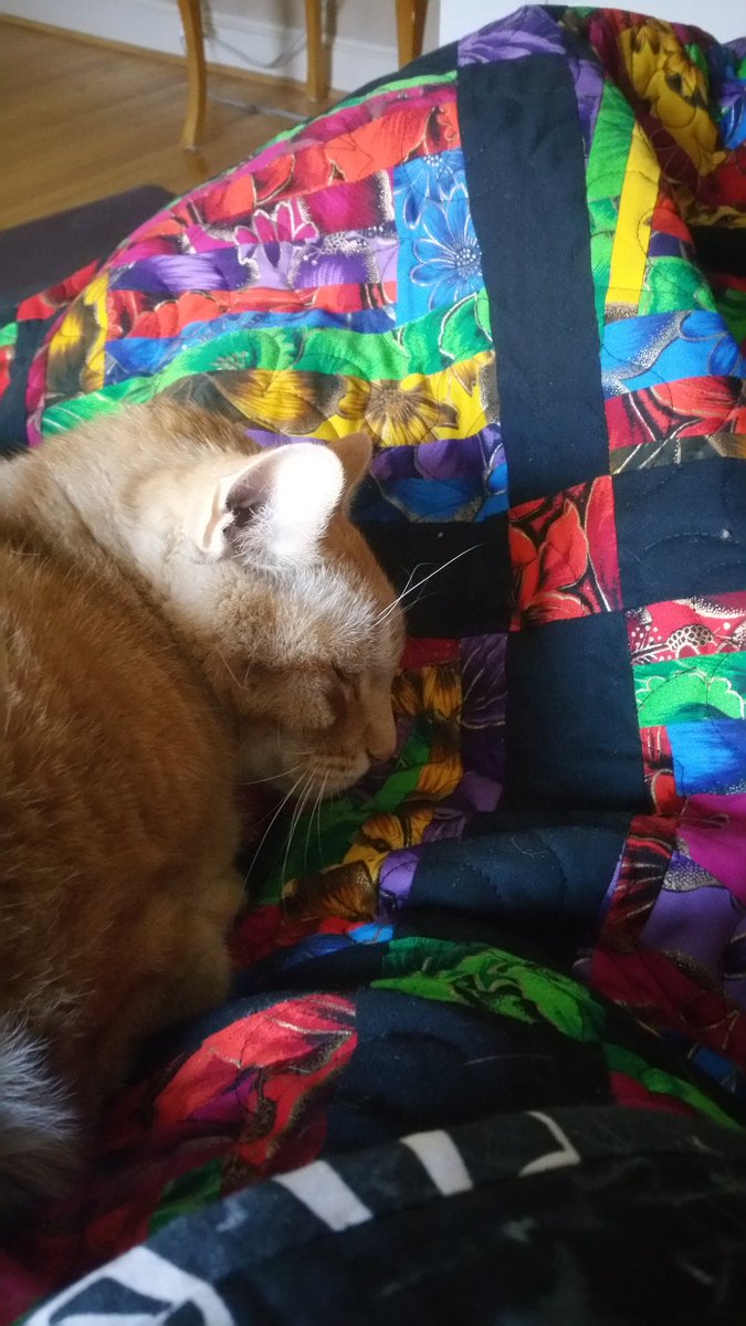 QuiltUnder's tweet image. A friends Mom surprised me with a lovely lazy log cabin #quilt. I have already lost my rights to it to the cat :)