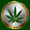 ripple_wall's tweet photo. CannabisCoin (CANN) claimed pixels on https://t.co/7prTuhBmPk
#xrp #ripple https://t.co/P3kThQpES7