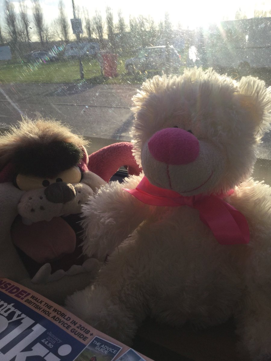 pip_mouse's tweet photo. @Emergency_Teds @chomper_TC @robsonandcowan @pissedbear @TedmundCurtis @TourGuideTed @ltluchristian @MagnusRonaldsay @Mr_Quacks1 @Dolby_Sheep We as freed her & she now makin herself at home in our mobile nest #carryvan She as a very pink nose so.... either she is a mate of Edward OR she likes to walk in the fresh air 🤔👍🐭 https://t.co/yXMDoxUCY7
