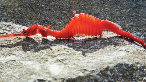 ThinkFeelDoLive's tweet image. 2017 was a spectacular year for science stories
cbc.ca/1.4458365