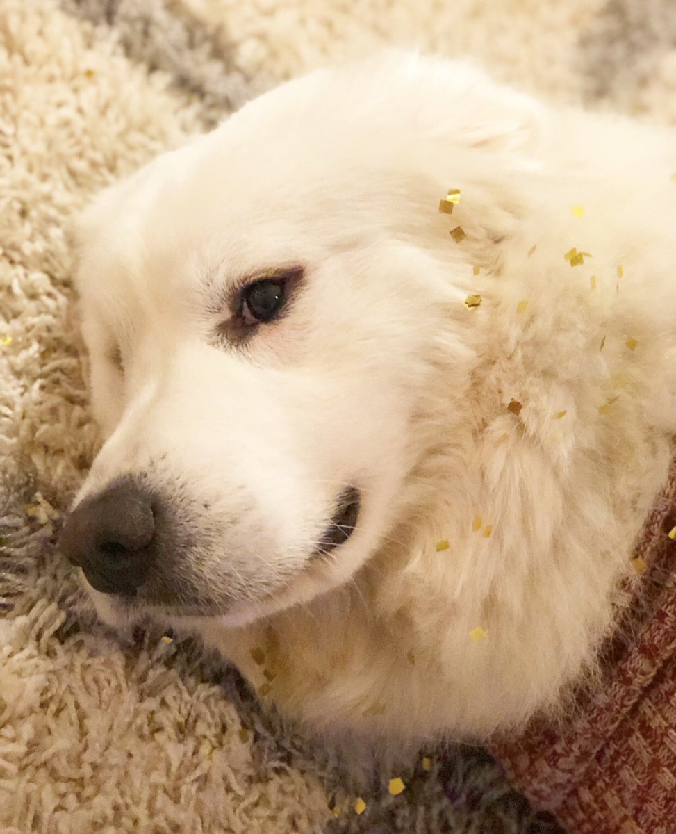 emilykbarger's tweet photo. When midnight hits on New Years and everyone is celebrating but you realize another year has come and gone and you have accomplished nothing. https://t.co/DXV0JOlj56