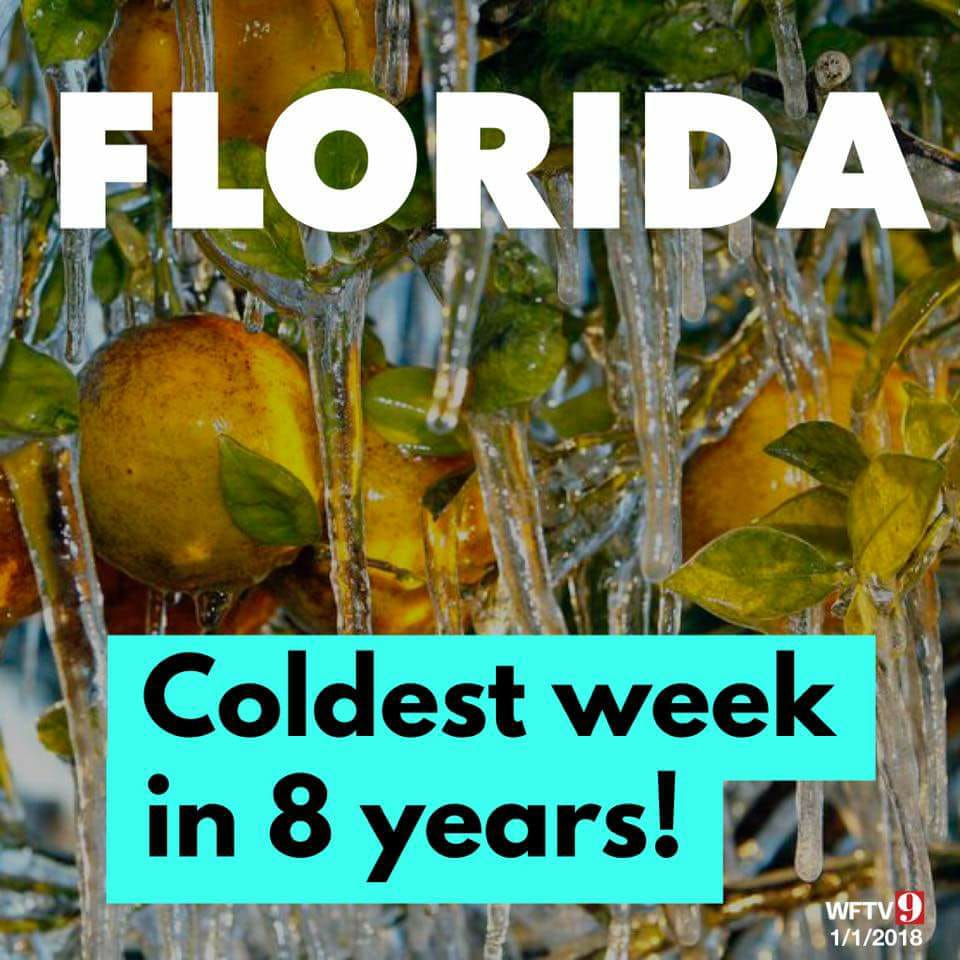 Adevotedteacher's tweet photo. We need you help! We are in great need of blankets,jackets,coats,gloves,hats and hand warmers. Thank you so much for your help. If you are able to donate please contact me  💓 Merina Gray 407-749-4400 #homeless #orlando https://t.co/7jbgDA7lu7
