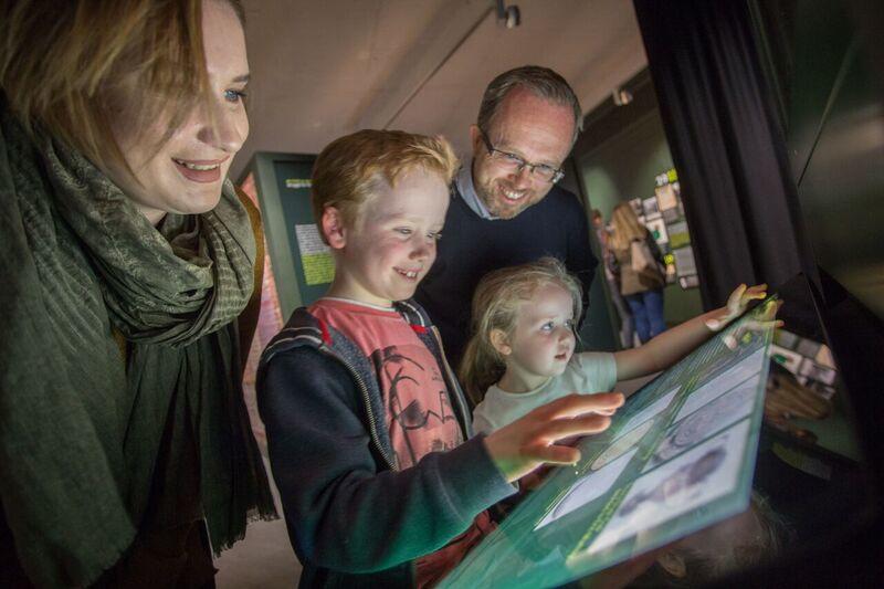 KingJohnsCastle's tweet photo. Discover The Shannon Heritage Annual Membership proggramme, A window into Ireland's Past. Find out more https://t.co/JgDRepQMfR #windowintothepast #shmembership https://t.co/B0MueETCyG
