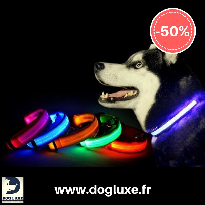 SoYeahGuys's tweet photo. À tous les amoureux des chiens, pour leur sécurité en hiver, le collier LED à -50% sur dogluxe.fr !!

COMMANDEZ LE DES MAINTENANT : https://t.co/PiNTl4FL4f https://t.co/oJbsWaEYgE