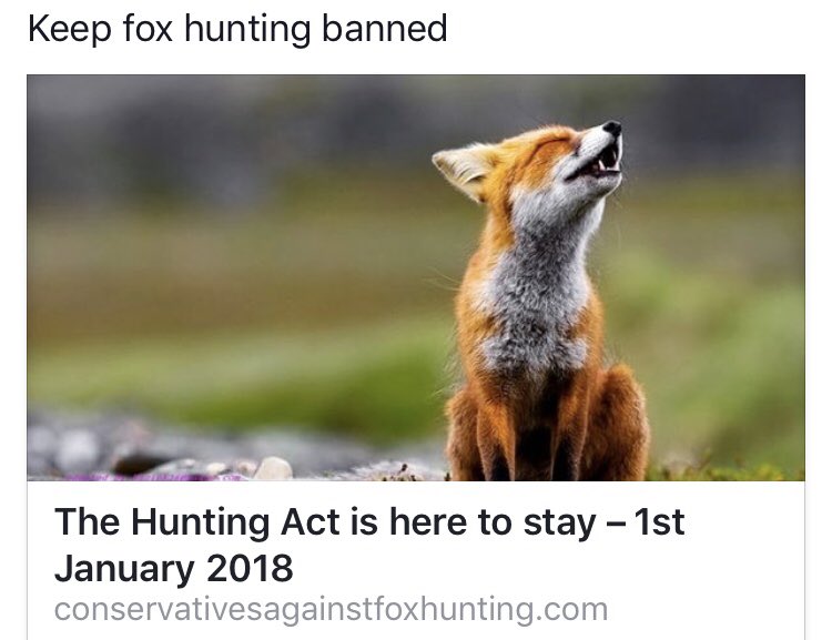 Happy New Year to all. Keep hunting with dogs banned #AnimalWelfare #BlueFox 

conservativesagainstfoxhunting.com/2018/01/4004/