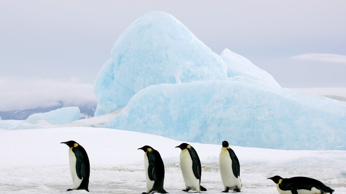 CNTraveler's tweet image. Wondering where to go in 2018? These are the 18 editor-endorsed destinations we can't wait to visit this year—and you should, too. cntrvlr.co/oQfV5ak