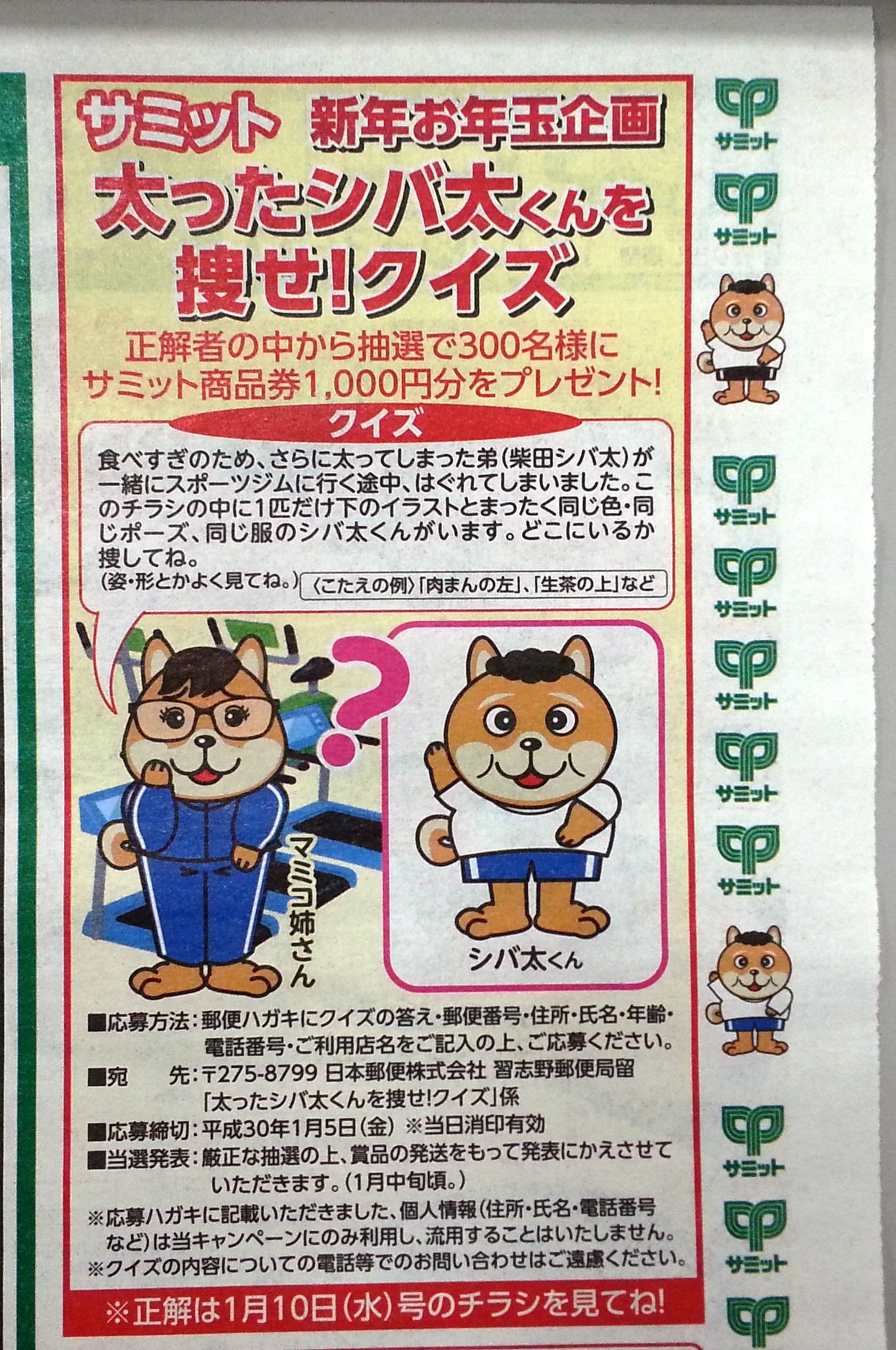 もっとくパス チラシ 【公式通販】