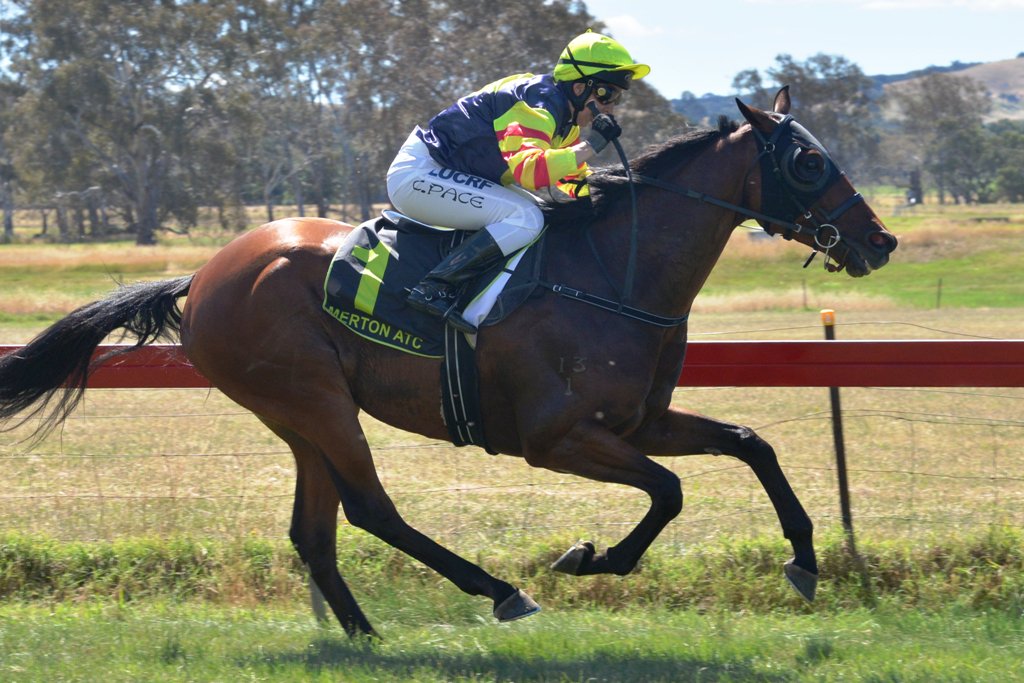 picnicracing's tweet photo. First career win as a trainer for jockey @courtpace1 on board Fold at MERTON New Year's Day. https://t.co/OKTjQk1BRG