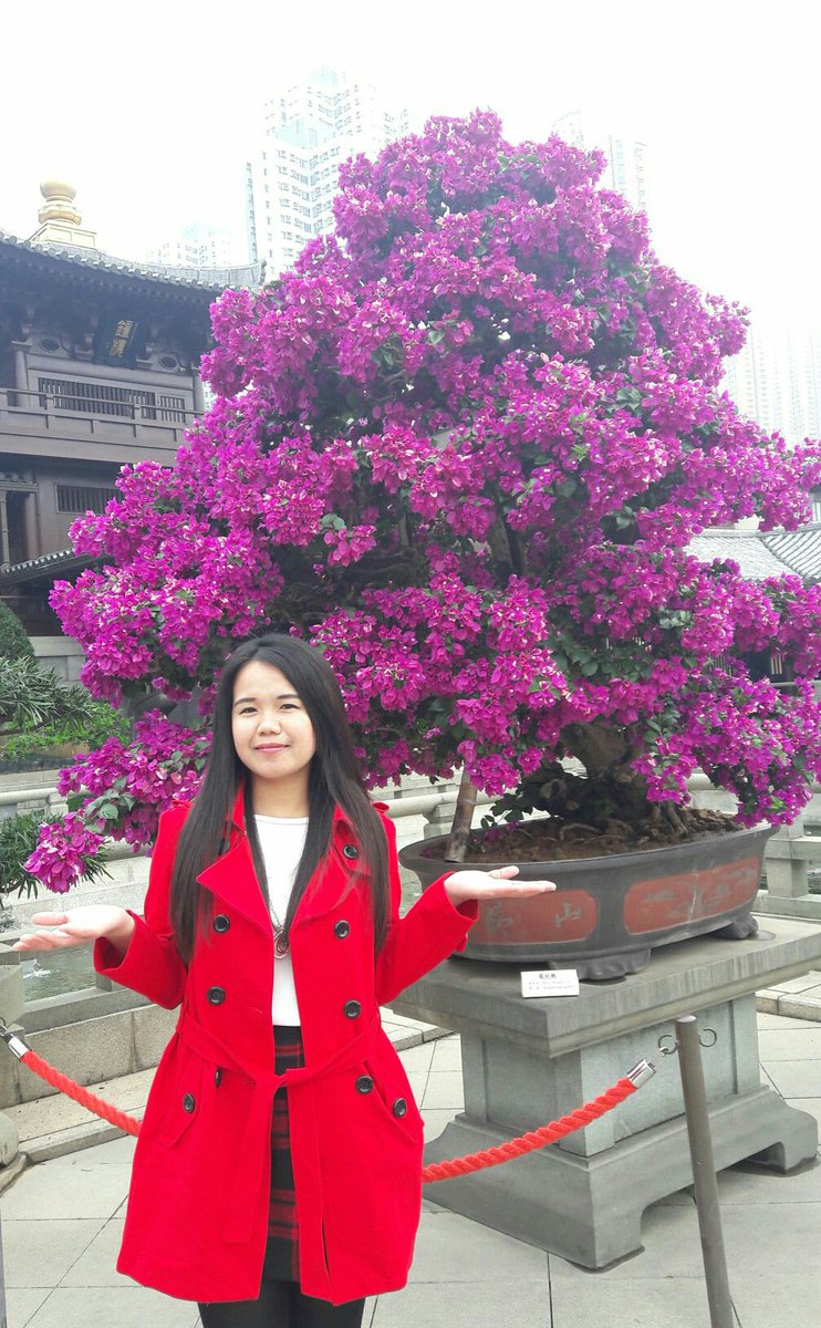 Hello to everyone,  Happy New year.

Add me on FB :Mj Miyano 
IG: Jeanjourney