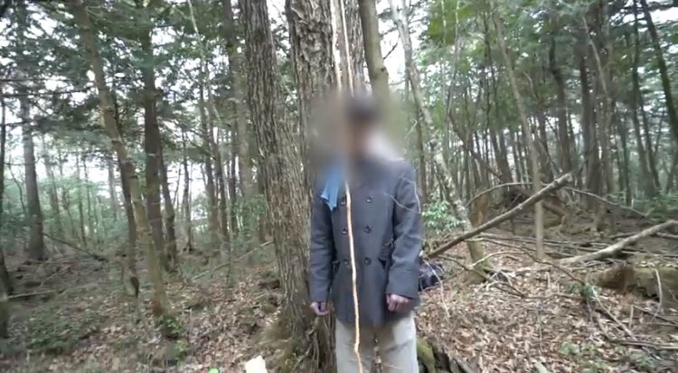 twitter.com. logan paul suicide forest japanese fake committed parker goes....