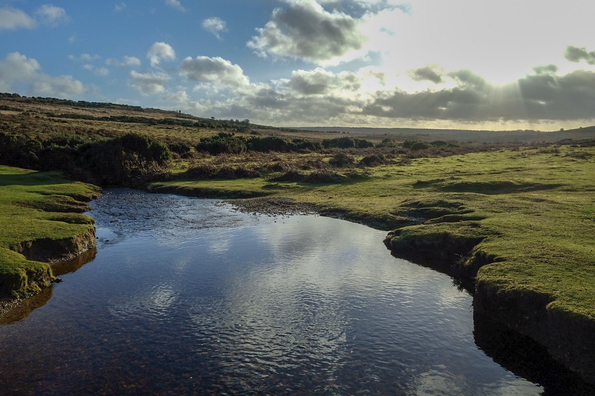 pasimages's tweet photo. Nice walk in the #NewForest today #fujifilm_xseries #fujifilm #fujixe3 #walking @NewForestPonies @NewForestNPA https://t.co/dBK864a897