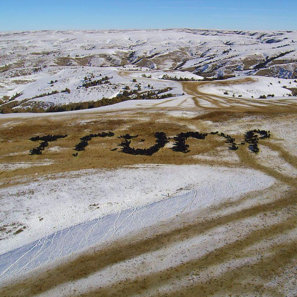 gilbertgaryc's tweet photo. @realDonaldTrump Happy New Year at the spear U ranch in South Dakota #POTUSTrump @TomiLahren https://t.co/3ZNHh3DTYL