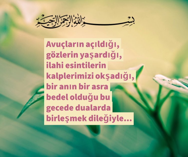 Bertu1999Kayhan's tweet photo. https://t.co/xKOQbEPCUw