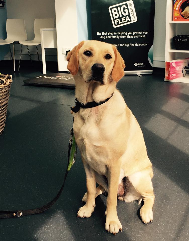 HAPPY NEW YEAR!!!
We are closed today but call us like normal if you need us in an emergency!