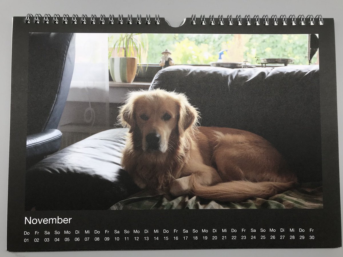KarinsTestwelt's tweet photo. Ich hab mal einen (Goldi)Fotokalender gestalten.
https://t.co/x1MupzLKiZ
#kartenmacherei https://t.co/xdMsvuyc7H