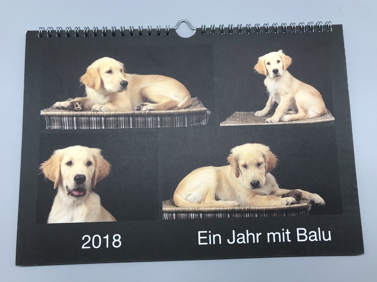 KarinsTestwelt's tweet photo. Ich hab mal einen (Goldi)Fotokalender gestalten.
https://t.co/x1MupzLKiZ
#kartenmacherei https://t.co/xdMsvuyc7H