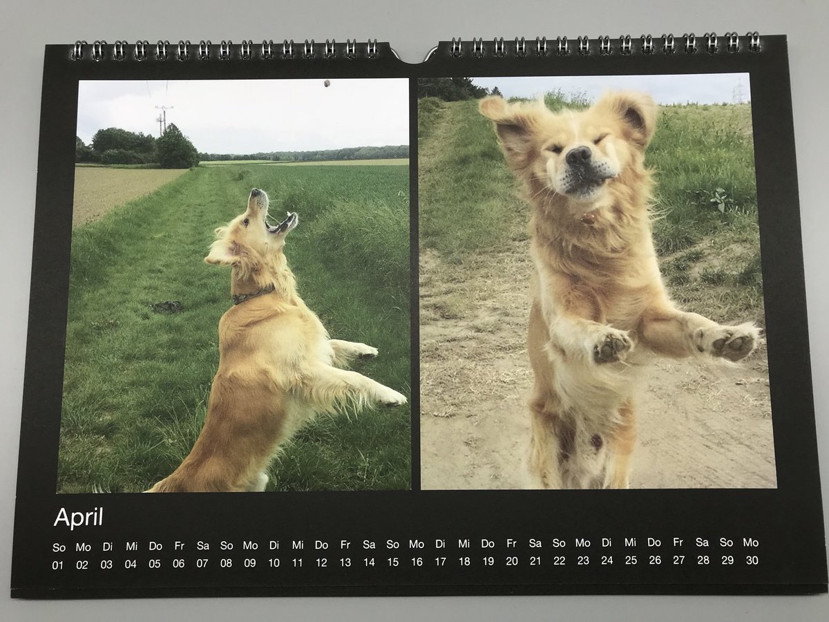 KarinsTestwelt's tweet photo. Ich hab mal einen (Goldi)Fotokalender gestalten.
https://t.co/x1MupzLKiZ
#kartenmacherei https://t.co/xdMsvuyc7H