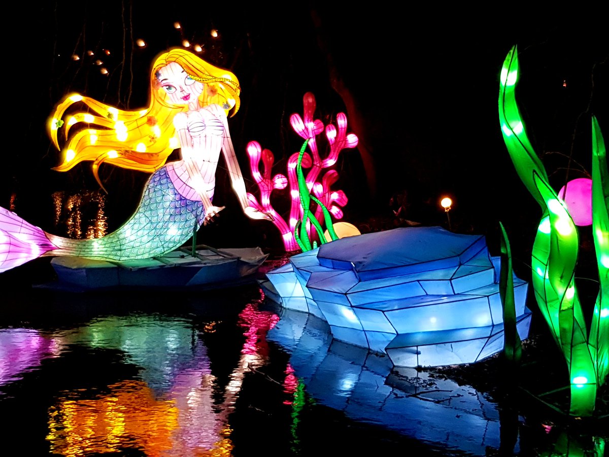 Flick Buchanan MCIPR tweet media