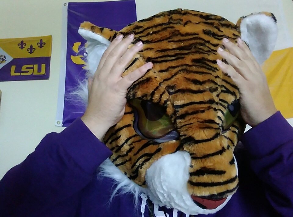 JazzOne's tweet photo. #mood after #CitrusBowl. #LSUvsND #GeauxTigers (only 35 weeks till the next #LSUfootball game.) https://t.co/4OsasZja6A