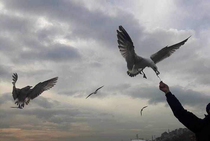 Nasip tılsımlı kelime muazzam hakikat. 
Ne güzel ne kadar da güzel nasip. 
Nasibin farkında olmak o da ayrı bir nasip.