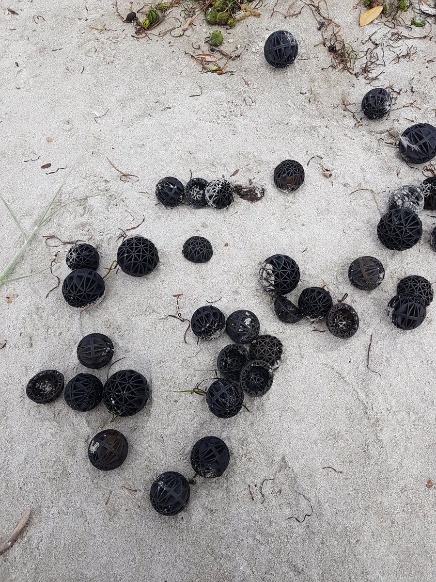 ressda3m's tweet photo. Anyone know what these are? Like, do they have a purpose or are they just more plastic poisoning the ocean? At Marsden pt.
#newzealand #environment  #plasticpollution ? https://t.co/mfYG0WpvRs