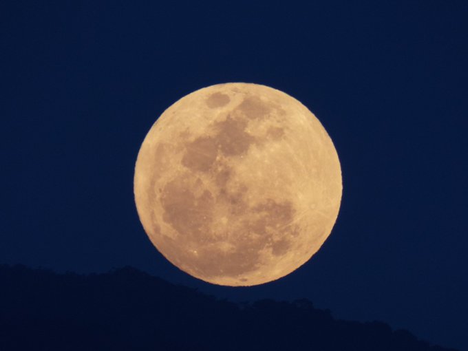 Ver imagen en Twitter