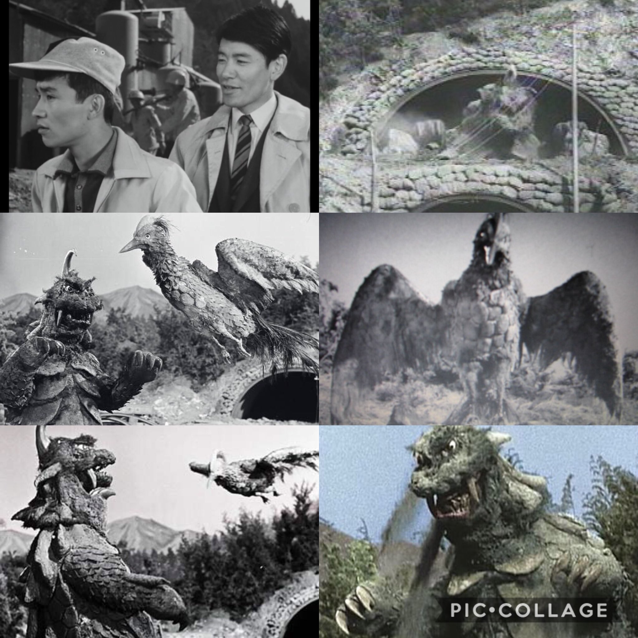 S Murakami ウルトラq 第1話 ゴメスを倒せ 昭和41年 1966 1月2日放映 T Co Ojvphxhg6y ゴメス対リトラ 総天然色ウルトラq ゴメス ウルトラq T Co Bgqad7zlx8 Twitter