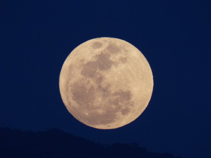 Ver imagen en Twitter