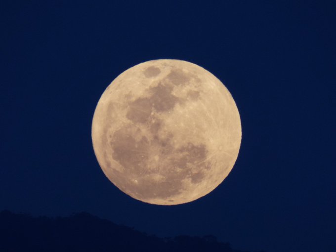 Ver imagen en Twitter