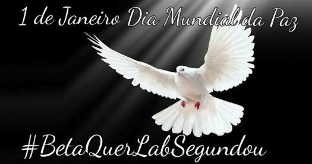 fael_luis33's tweet photo. Feliz Ano Novo!!! Que seja um ano de muita paz e alegrias...
#BetaQuerLab #BetaQuerLabSegundou https://t.co/w5FETCqrbt