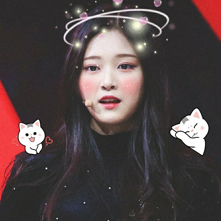 mixninesofties's tweet photo. —♡ KIM HYUNJIN softies ╮

#mixnine #hyunjin #loona #blockberrycreative https://t.co/TYeT6vKhLr